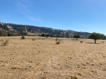 Agrícola en Venta en Limavida comuna de Curepto