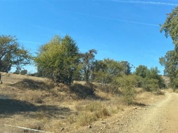 Agrícola en Venta en Limavida comuna de Curepto