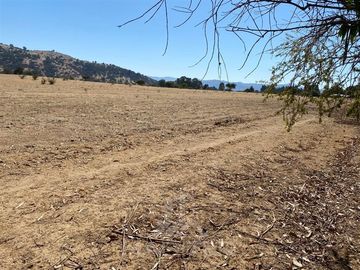 Agrícola en Venta en Limavida comuna de Curepto