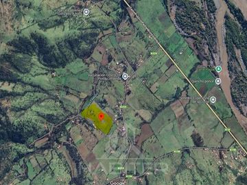 Agrícola en Venta en Limavida comuna de Curepto
