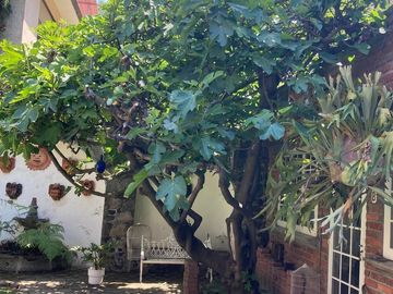 CASA EN FRACCIONAMIENTO, Monte Copiapo, Jardines en la Montaña, Tlálpan