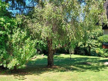 Parcela en Venta en Amplia casa con Quincho, Bodega y Cancha de Tenis - Lomas de Reloncaví