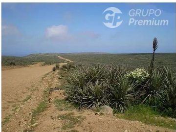 Parcela en Venta en Parcela Talinay bajo