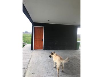 SE VENDE TERRENO 1HA SAN NICOLAS, ÑUBLE