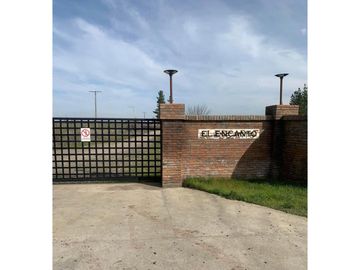 SE VENDE TERRENO 1HA SAN NICOLAS, ÑUBLE