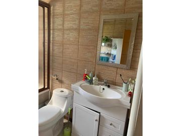 SE VENDE TERRENO 1HA SAN NICOLAS, ÑUBLE