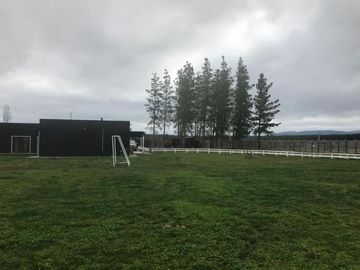 SE VENDE TERRENO 1HA SAN NICOLAS, ÑUBLE