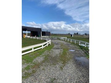 SE VENDE TERRENO 1HA SAN NICOLAS, ÑUBLE