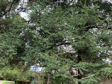 Casa en venta como terreno ubicado en Toluca, Estado de México