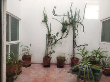 LAS ANCLAS  DEPARTAMENTO TRES RECAMARAS CON ALBERCA