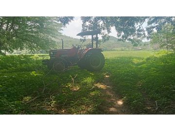 LA VIDA SIMPLE EN ESTE RANCHO EN JIQUIPILAS, CHIAPAS TE ESPERA