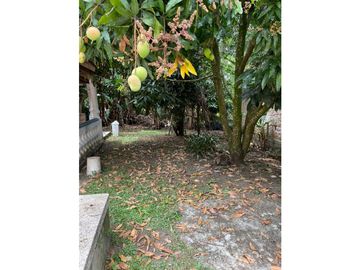 Finca de 1.500m2 con piscina en venta / permuta La Buitrera Palmira