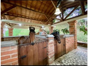 FINCA PARA LA VENTA ENTRE VENECIA Y BOLOMBO-S366