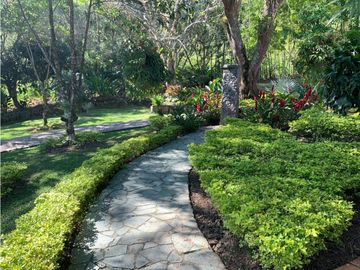FINCA PARA LA VENTA ENTRE VENECIA Y BOLOMBO-S366