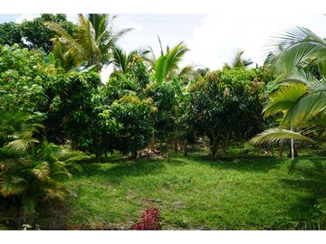 VENTA CASA CAMPESTRE LA CABAÑA MANIZALES | FINCA EN VENTA