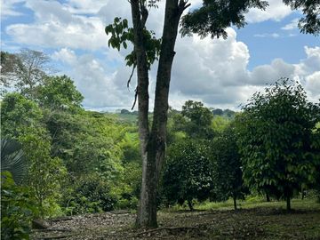 Se Vende Finca Hotel La Tebaida Quindío