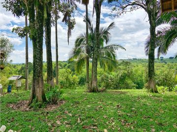 Se Vende Finca Hotel La Tebaida Quindío