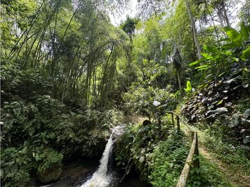 Se Vende Finca Hotel La Tebaida Quindío