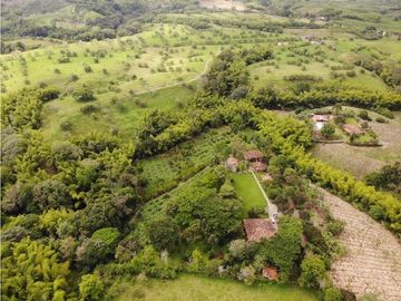 Se Vende Finca Hotel La Tebaida Quindío