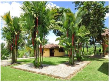 Se Vende Finca Hotel La Tebaida Quindío