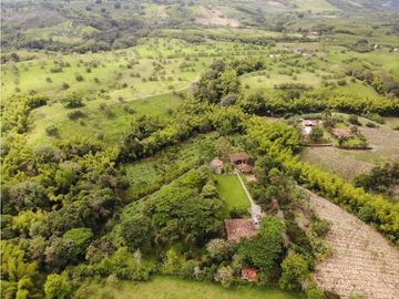 Se Vende Finca Hotel La Tebaida Quindío