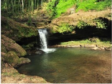 Se Vende Finca Hotel La Tebaida Quindío