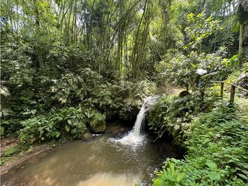 Se Vende Finca Hotel La Tebaida Quindío