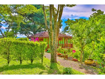 Se Vende Hotel Campestre Camping Quimbaya Quindio