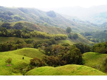 Finca Ganadera A La Venta Montenegro Quindio El Cuzco
