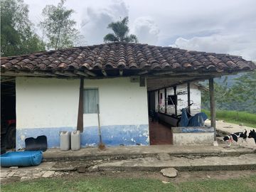 Finca Ganadera A La Venta Montenegro Quindio El Cuzco