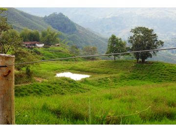 Finca Ganadera A La Venta Montenegro Quindio El Cuzco