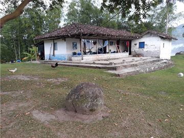 Finca Ganadera A La Venta Montenegro Quindio El Cuzco
