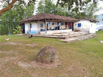 Finca Ganadera A La Venta Montenegro Quindio El Cuzco