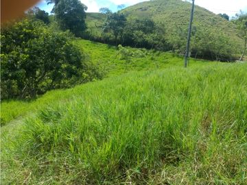 Finca Ganadera A La Venta Montenegro Quindio El Cuzco