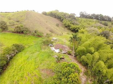Finca Ganadera A La Venta Montenegro Quindio El Cuzco
