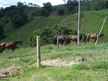 Finca Ganadera A La Venta Montenegro Quindio El Cuzco