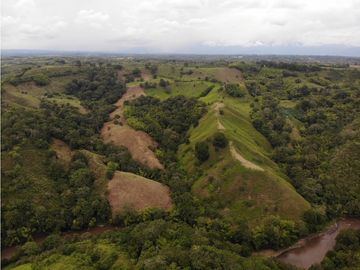Finca Ganadera A La Venta Montenegro Quindio El Cuzco