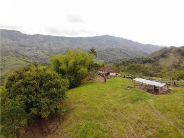 Finca Ganadera A La Venta Montenegro Quindio El Cuzco