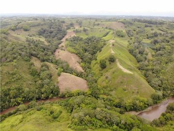 Finca Ganadera A La Venta Montenegro Quindio El Cuzco