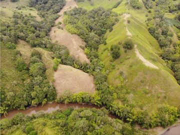 Finca Ganadera A La Venta Montenegro Quindio El Cuzco