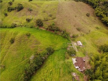Finca Ganadera A La Venta Montenegro Quindio El Cuzco