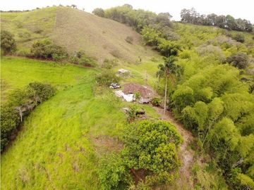 Finca Ganadera A La Venta Montenegro Quindio El Cuzco