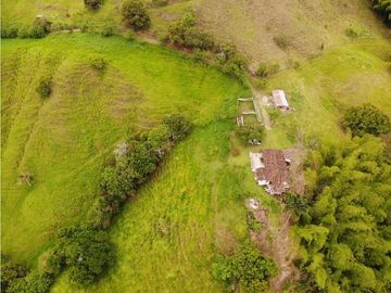 Finca Ganadera A La Venta Montenegro Quindio El Cuzco