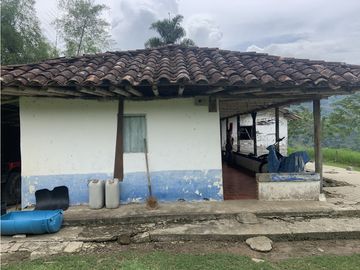 Finca Ganadera A La Venta Montenegro Quindio El Cuzco