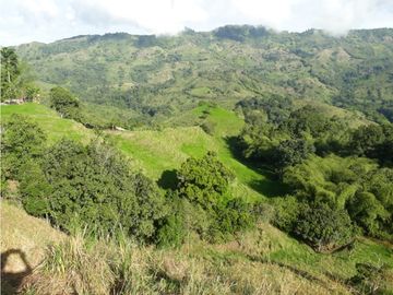 Finca Ganadera A La Venta Montenegro Quindio El Cuzco