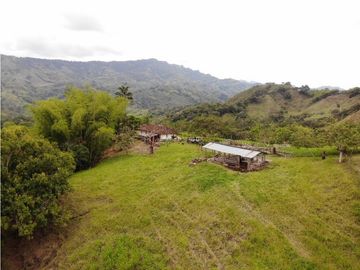 Finca Ganadera A La Venta Montenegro Quindio El Cuzco