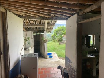 Finca Ganadera A La Venta Montenegro Quindio El Cuzco