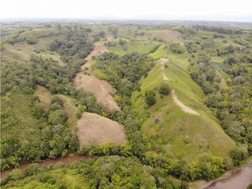 Finca Ganadera A La Venta Montenegro Quindio El Cuzco