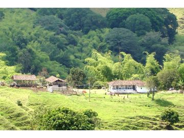 Finca Ganadera A La Venta Montenegro Quindio El Cuzco