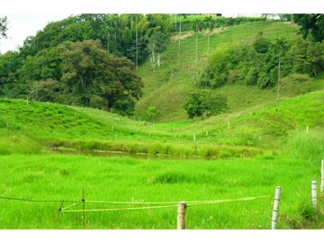Finca Ganadera A La Venta Montenegro Quindio El Cuzco